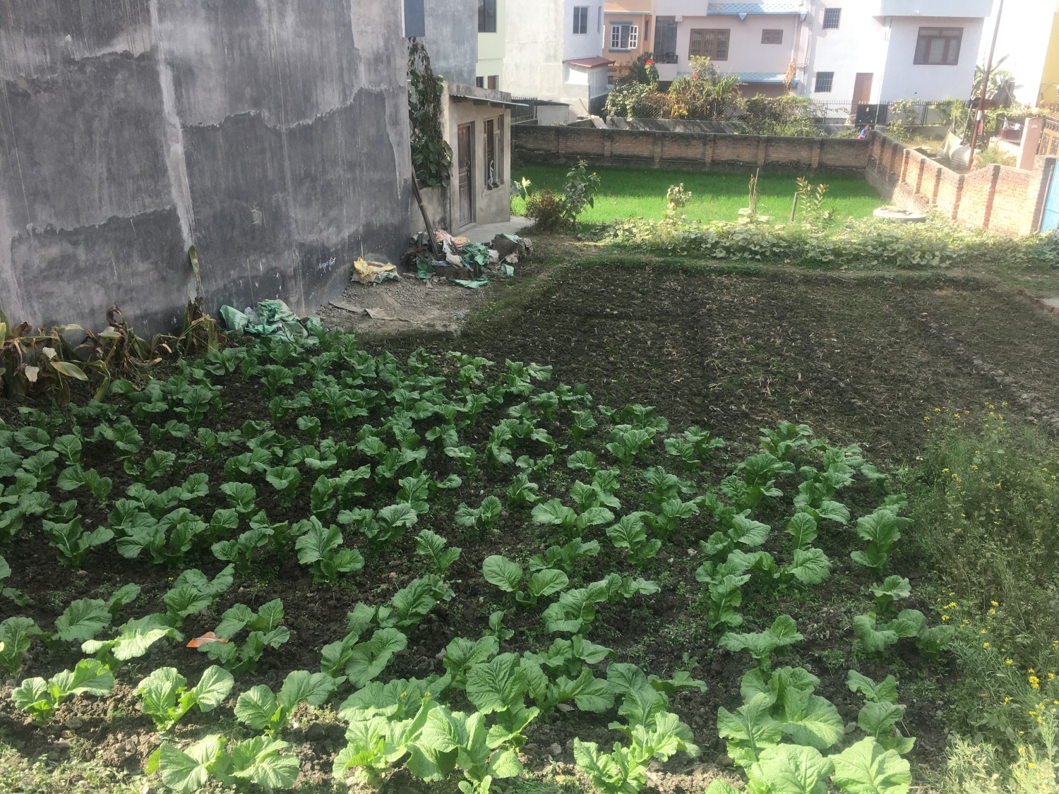 Volunteer Conservation Projects in Nepal: Make a Difference in the Himalayas